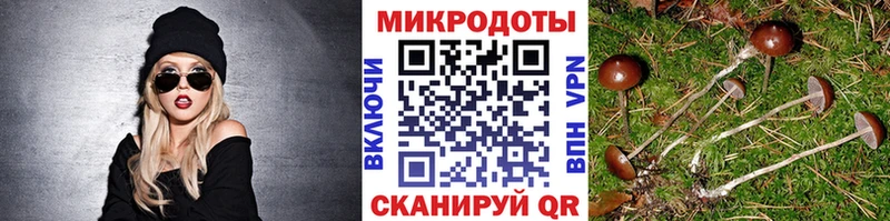 Галлюциногенные грибы Psilocybe  Уфа 